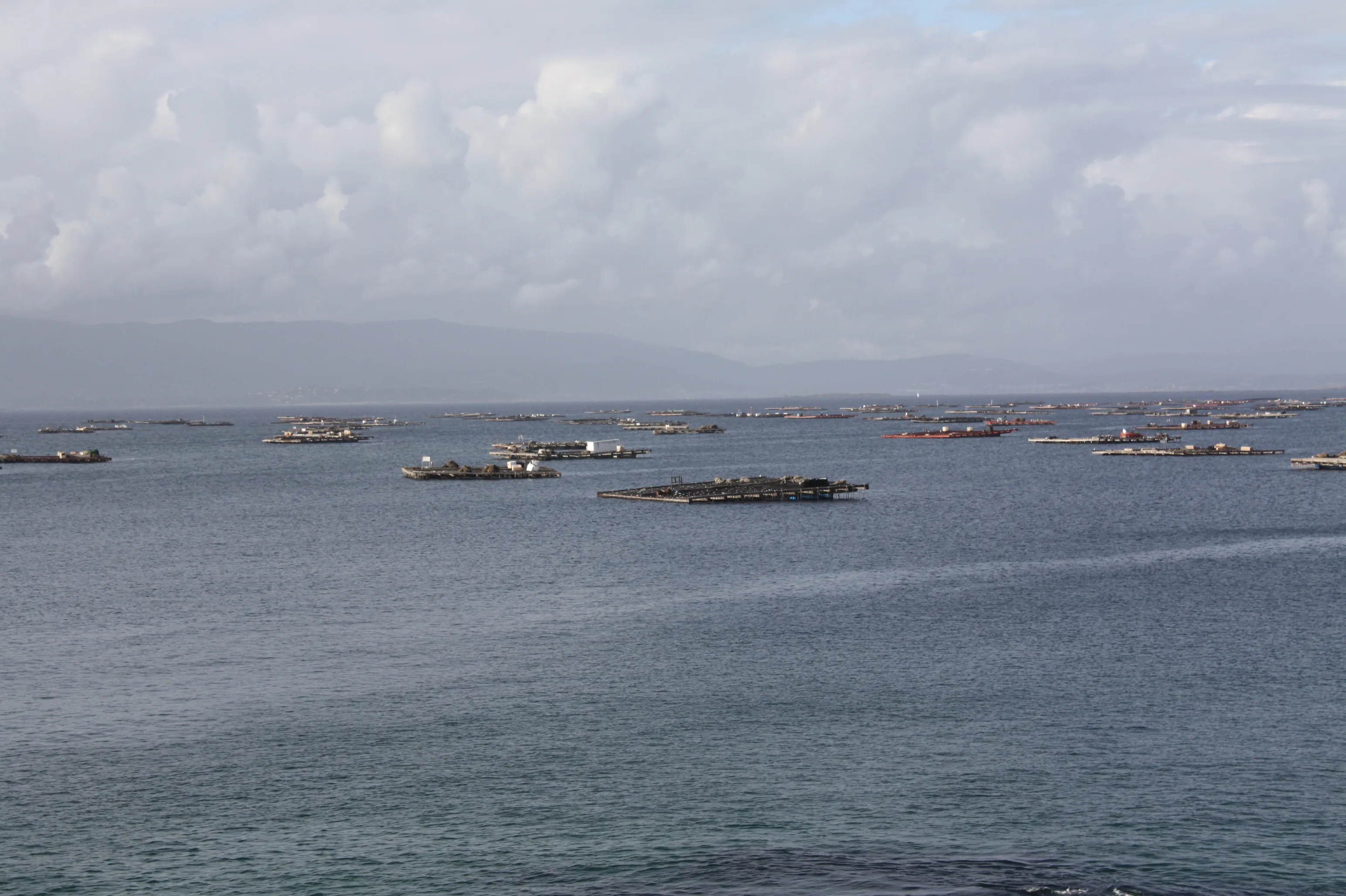 Mussel-farming bateas seen at close range off O Carreiro in O Grove.
