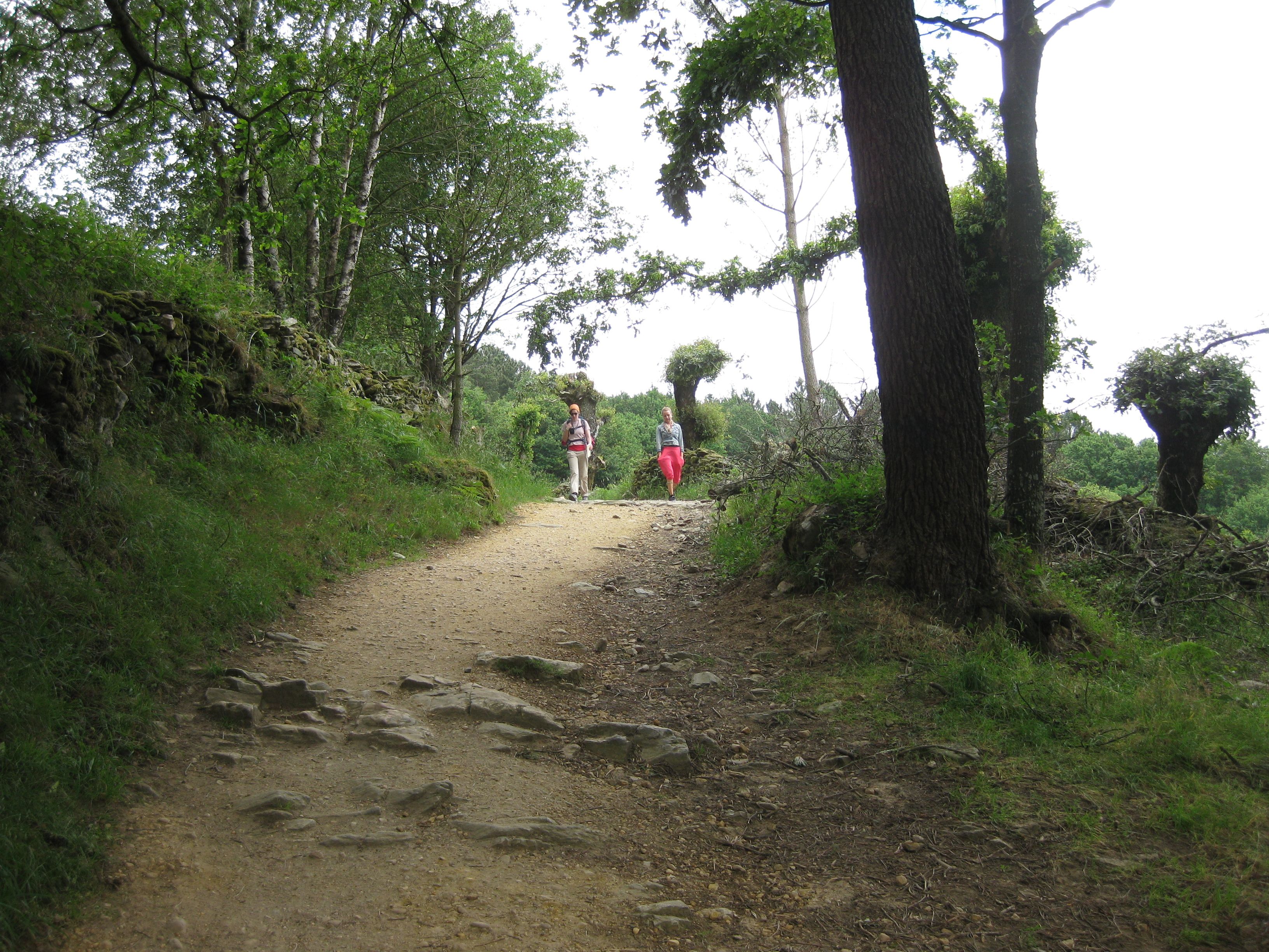 Two travelers walking along a wooded Camino path in Galicia.