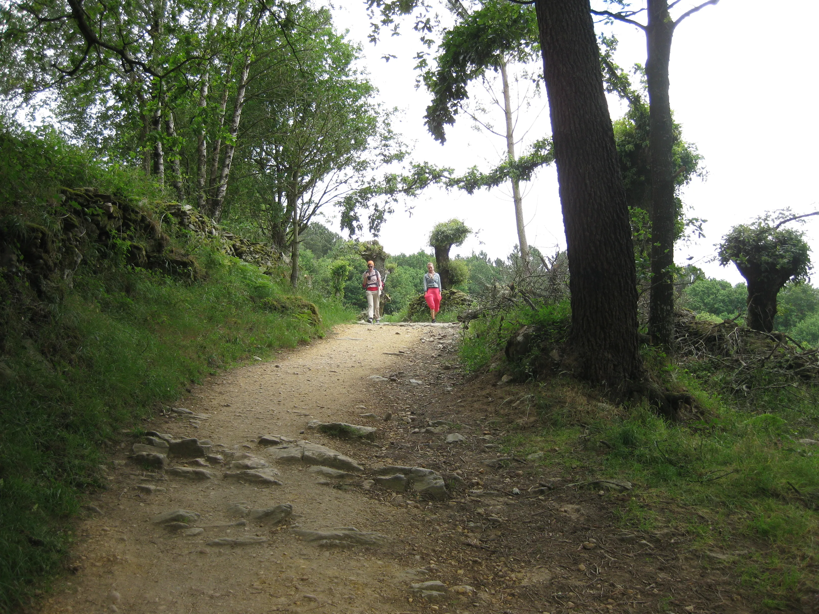 Pilgrims walking a country section of the Camino de Santiago in Galicia.
