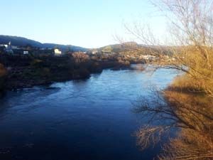 Make your way to Ourense.