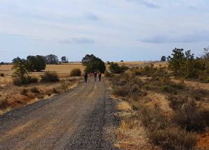 Walk 22 km to Villar de Mazarife.