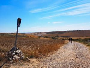 Walk 21 km (13 miles) from Burgos to Hornillos del Camino.