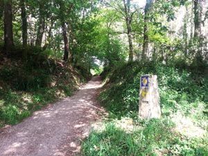Walk 10 km (6 miles) from Tamallancos to Pazos.
