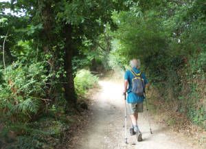 Walk 15 km (9 miles) from Pontellas to Vilar da Infesta.