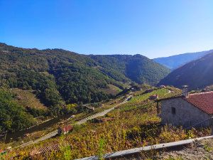 Walk 11 km from Diomondi to Vilaseco.