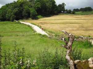 Walk 20 km from Lestedo to Melide.