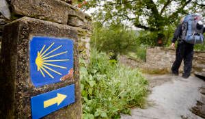 Walk 21 km to Pamplona.