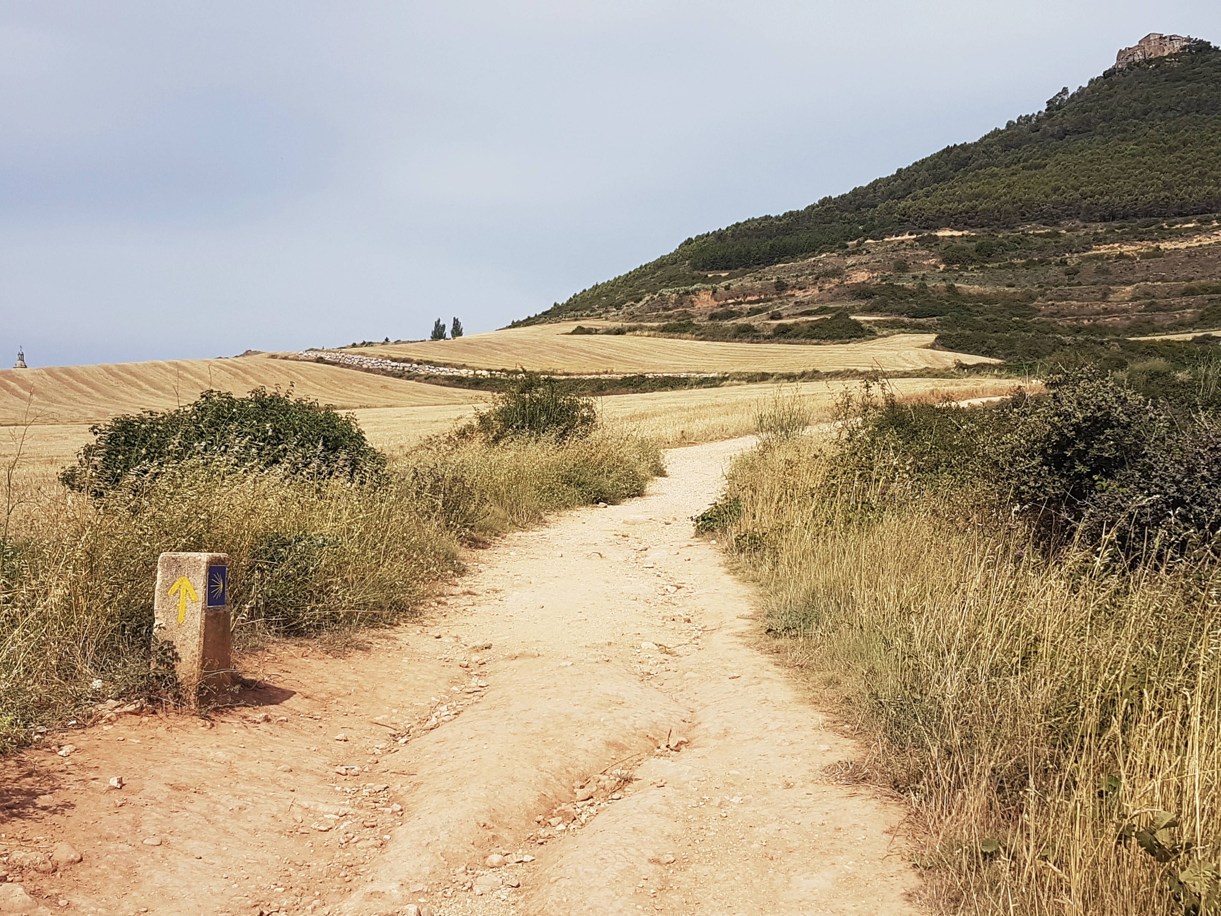 Walk 18 km (11 miles) from Los Arcos to Viana.