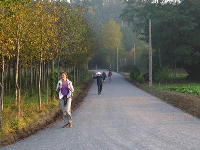 Walk 19 km (12 miles) from Arzúa to O Pedrouzo.