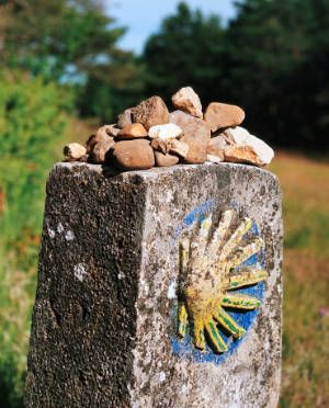 Walk 20 km (12 miles) from Viloria de Rioja to Villafranca Montes de Oca.