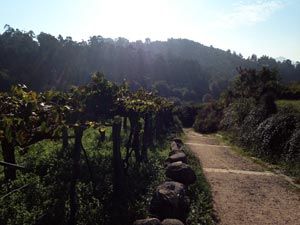 Walk 22 km to Cossourado.