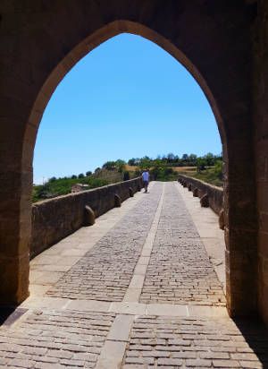 Walk 22 km to Estella.