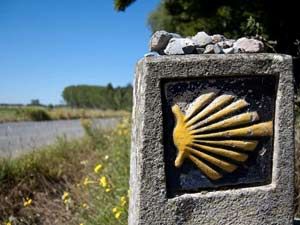 Walk 15 km (9 miles) from Caldas de Reis to Pontecesures.