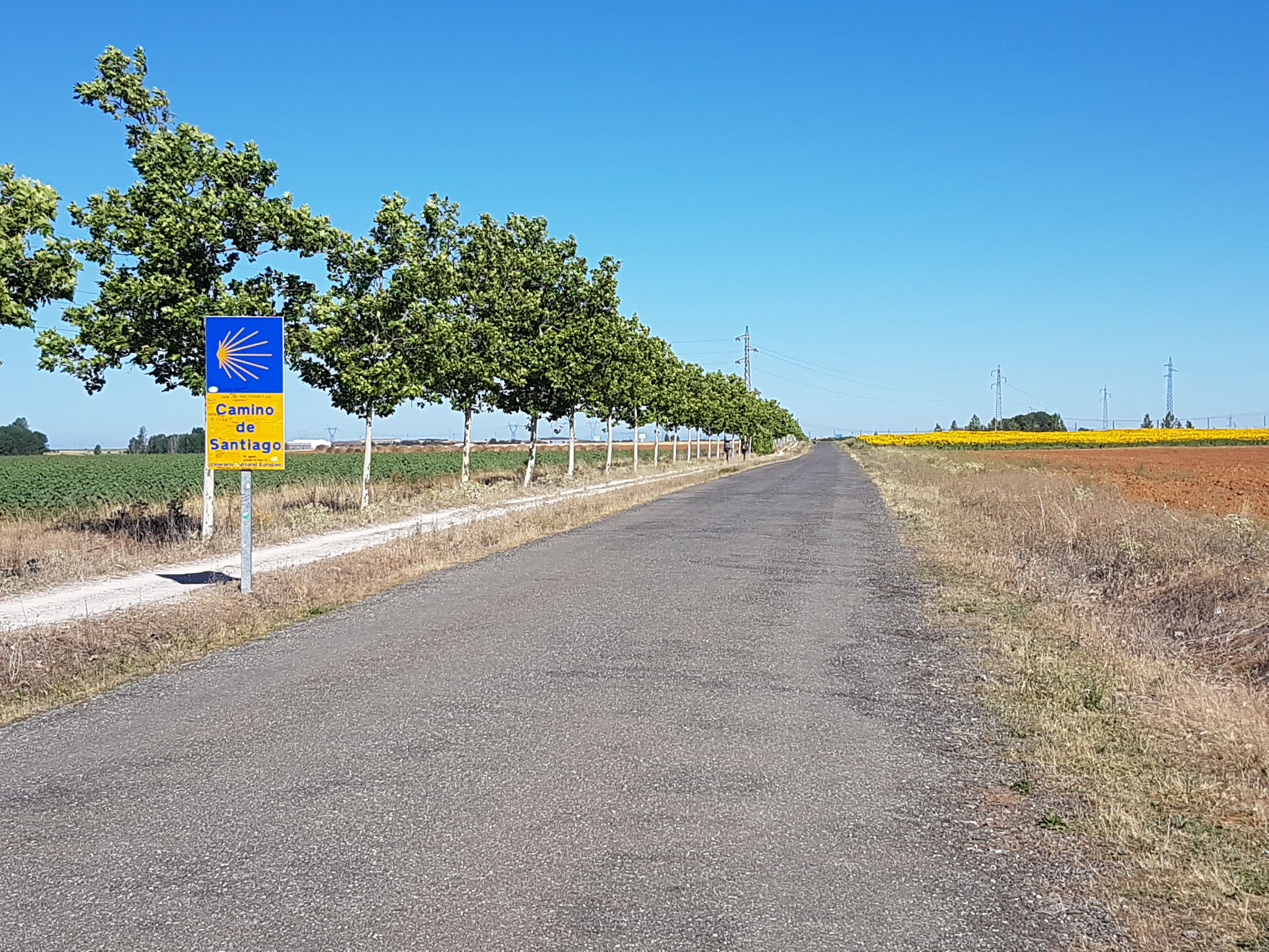 Walk 18 km (11 miles) from Sahagún to El Burgo Ranero.