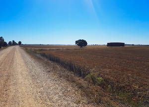 Walk 24 km to Ledigos.