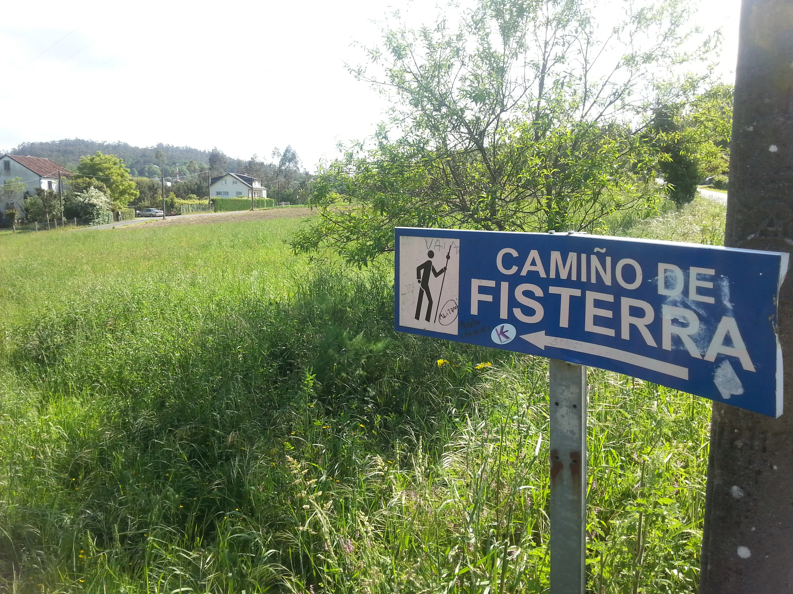 A Camino de Fisterra sign beside the rural route west of Santiago.