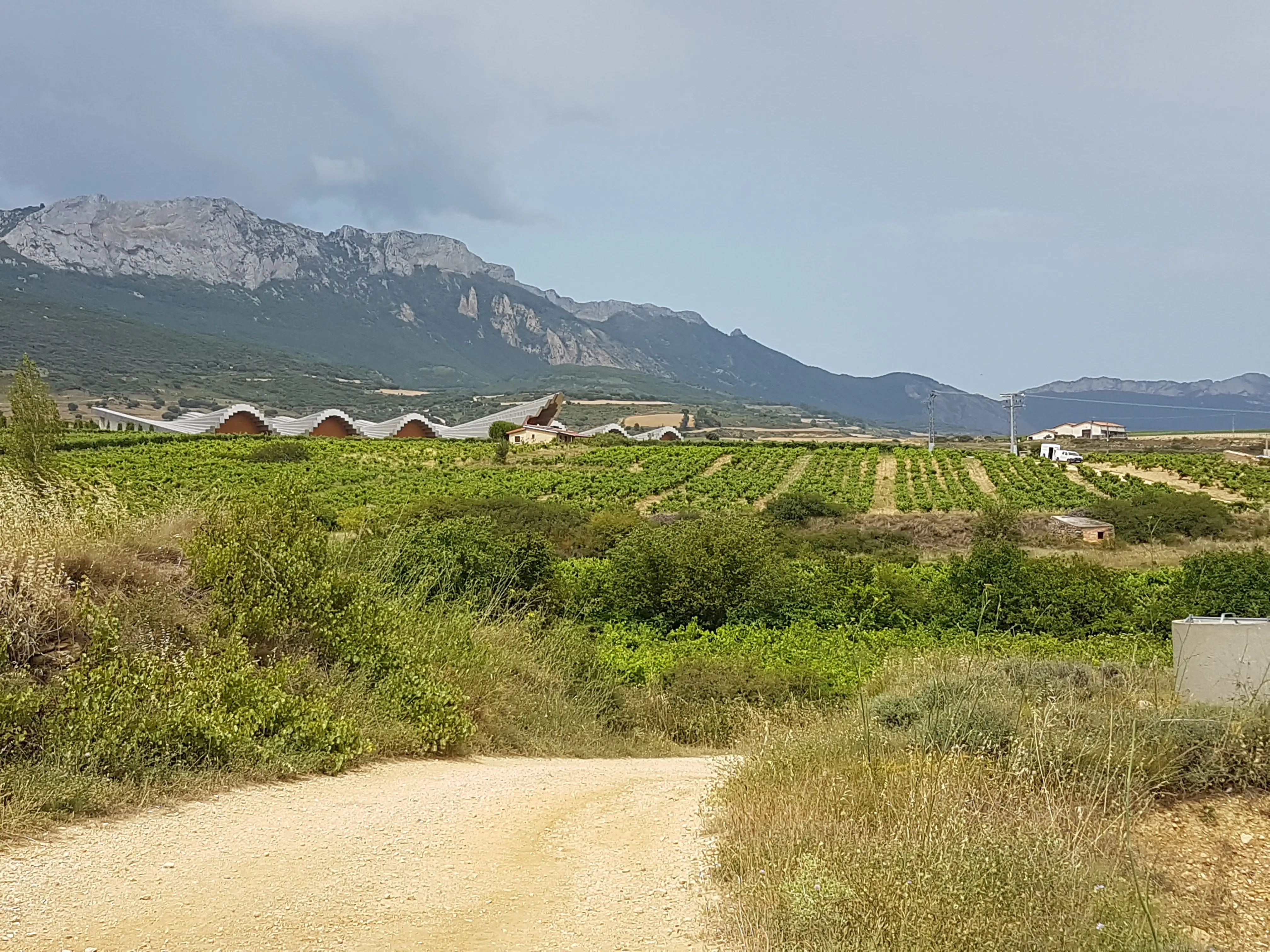 French Way scenery.