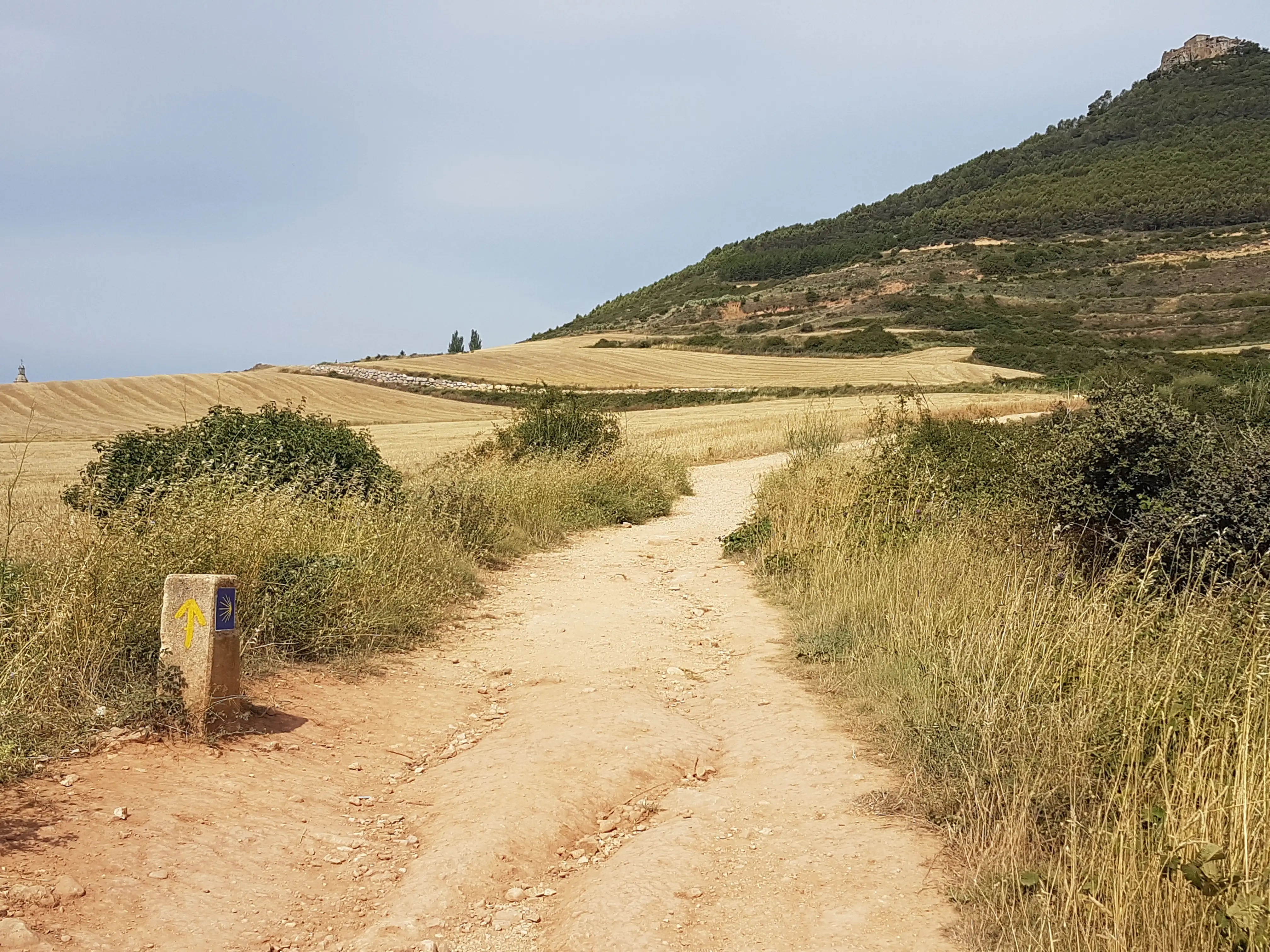 French Way scenery.