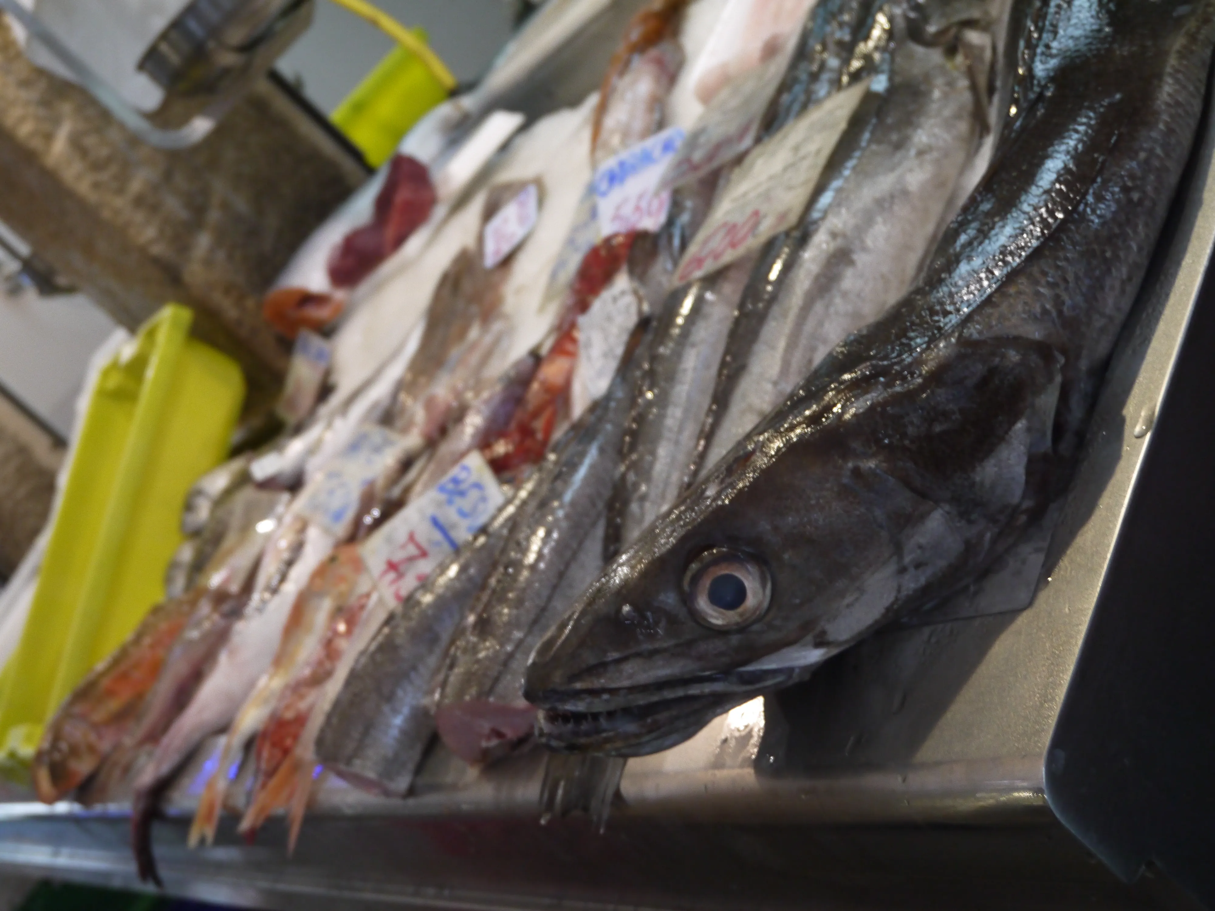 Fresh fish displayed at a Galician market counter.