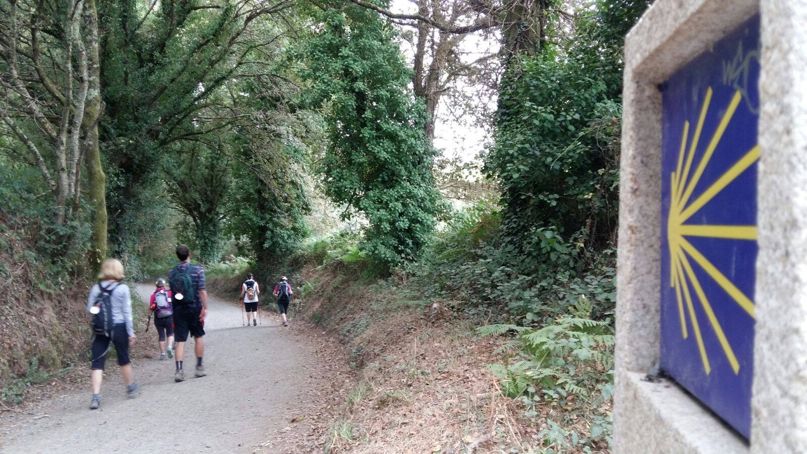 A group of pilgrims walking together along a wooded path.