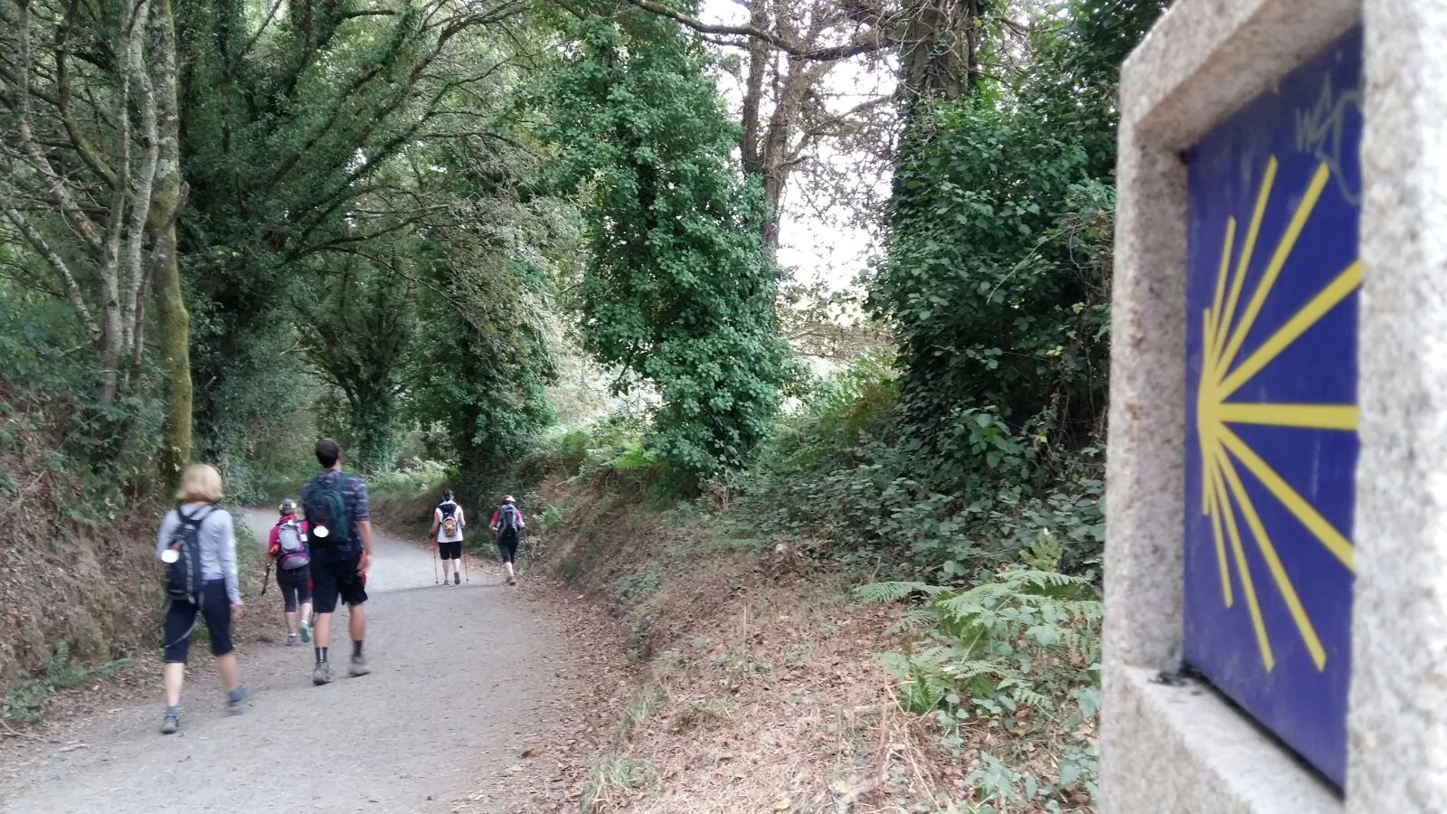 A small group of travelers walking together on the Camino de Santiago.