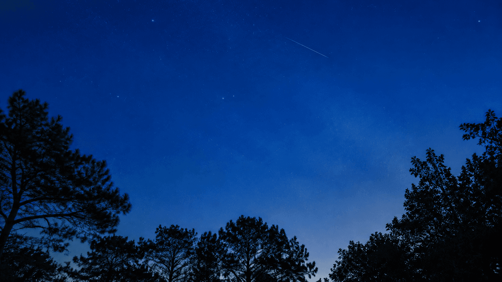 Céu estrelado sobre as árvores da Galícia, atravessado por uma estrela cadente.