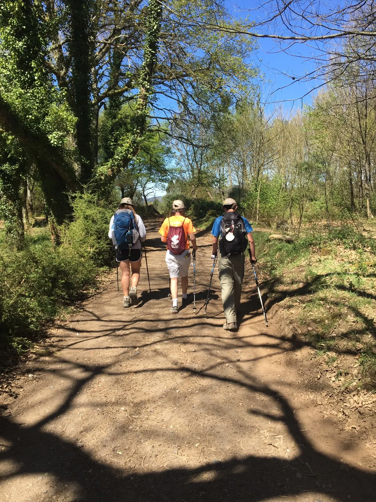 Three travelers walking a wooded Camino path with day packs.