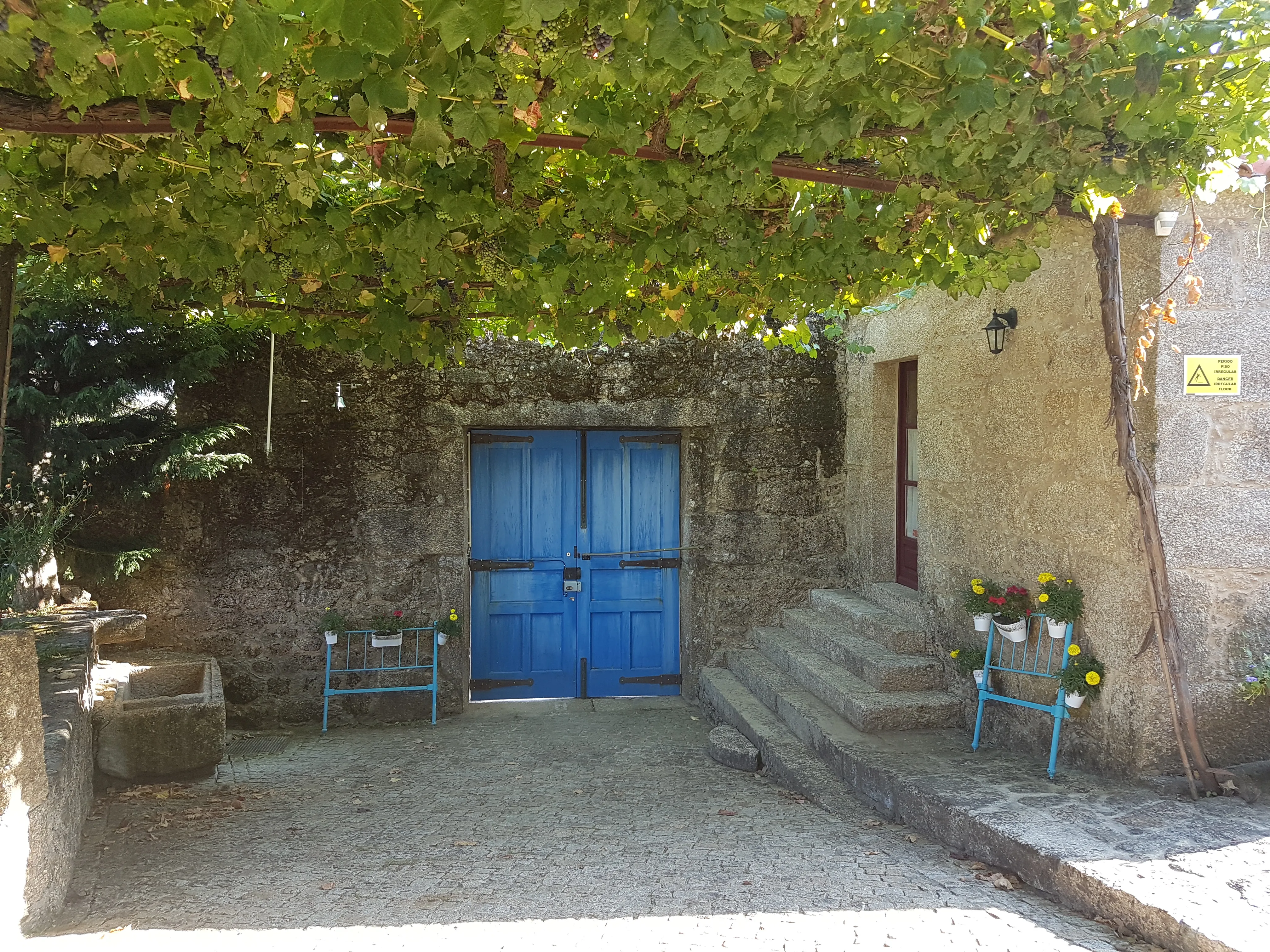 A vine-covered stone country house with bright blue doors on the Portuguese Way.