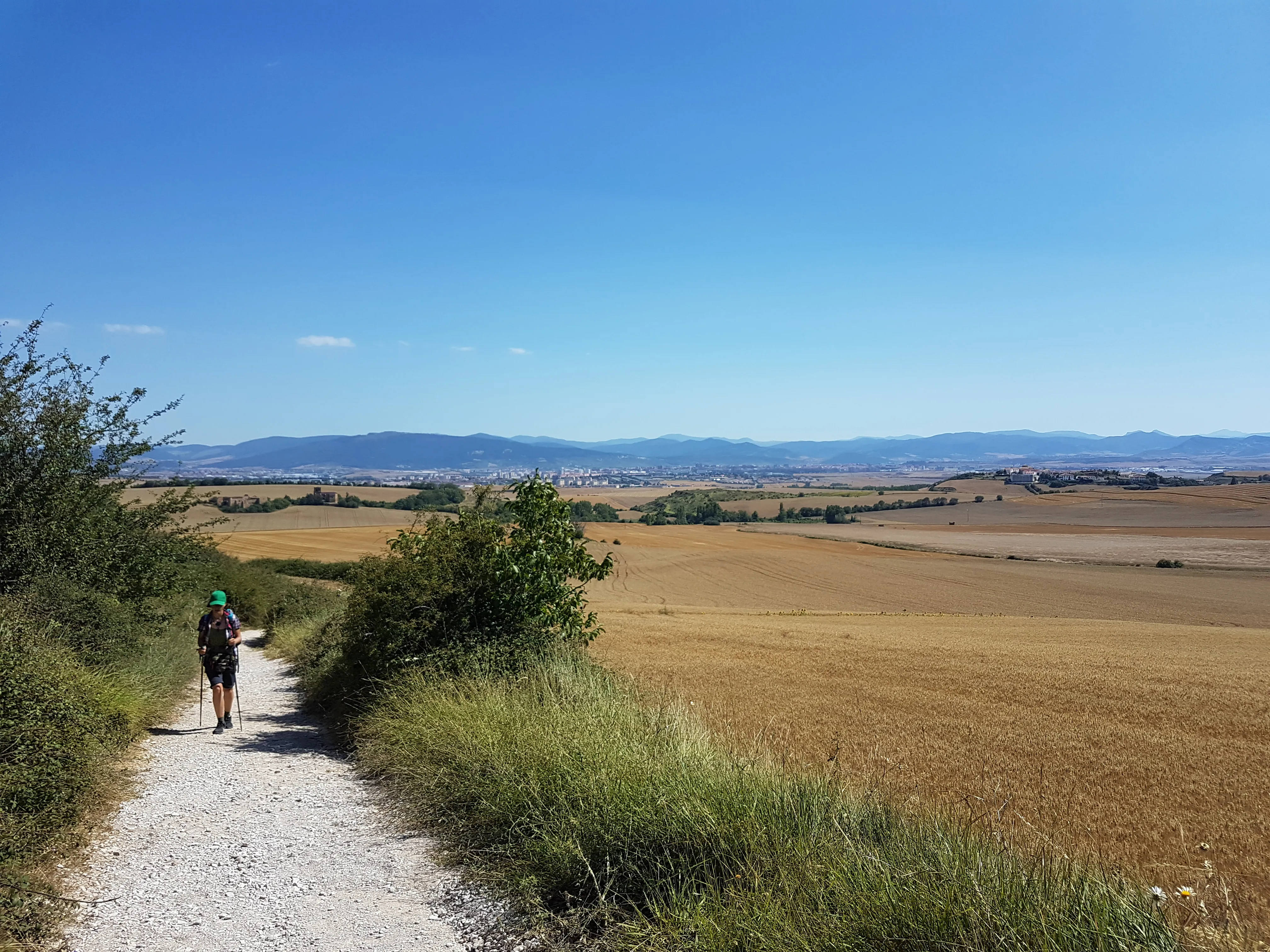 A solitary pilgrim walking through the open fields of Navarra.