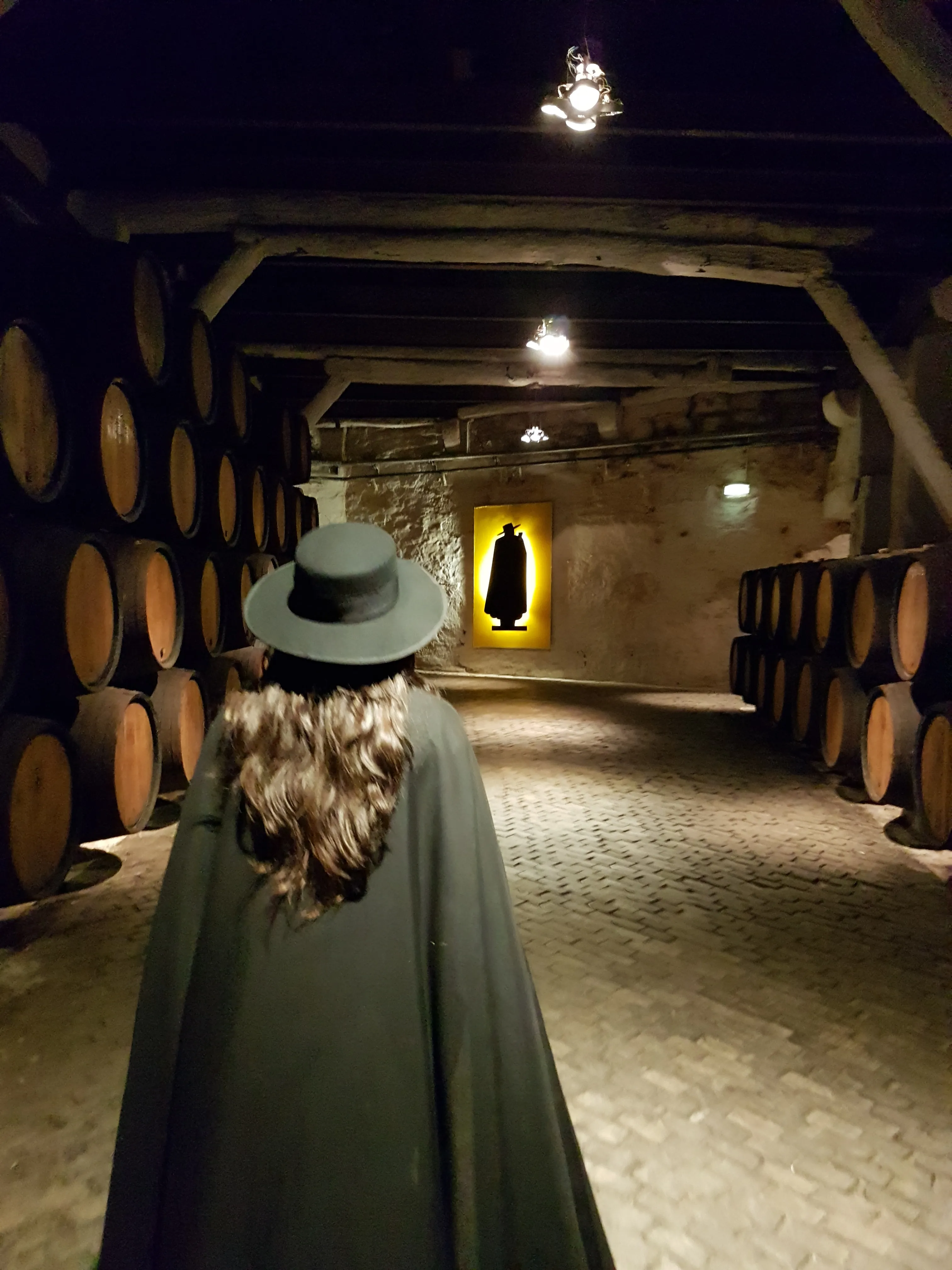 Historic Port wine lodges beside the Douro in Vila Nova de Gaia