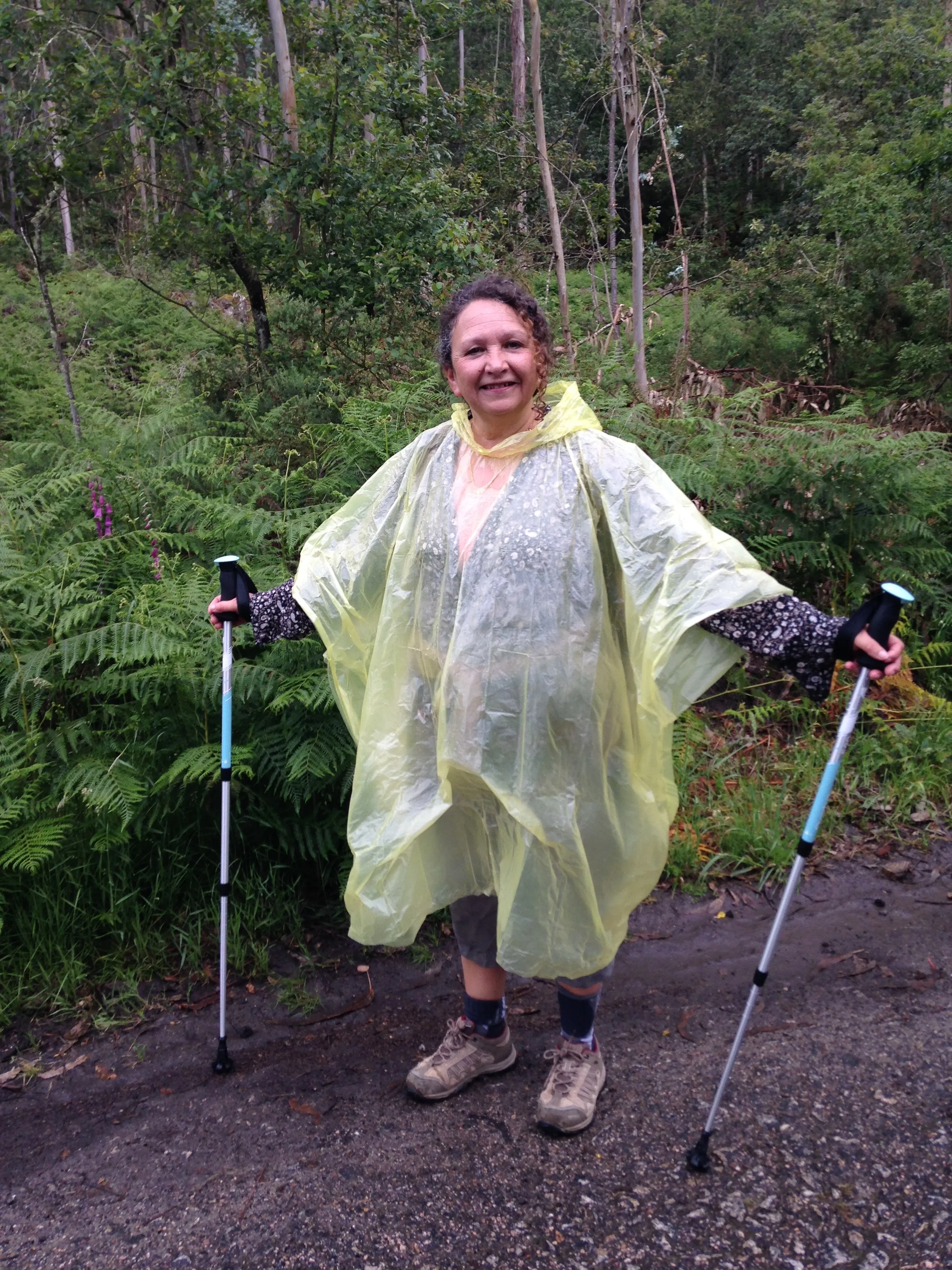 Pilgrims following a Camino path through changing weather.