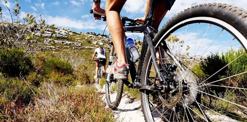 Cyclists riding single file on a rocky countryside trail.