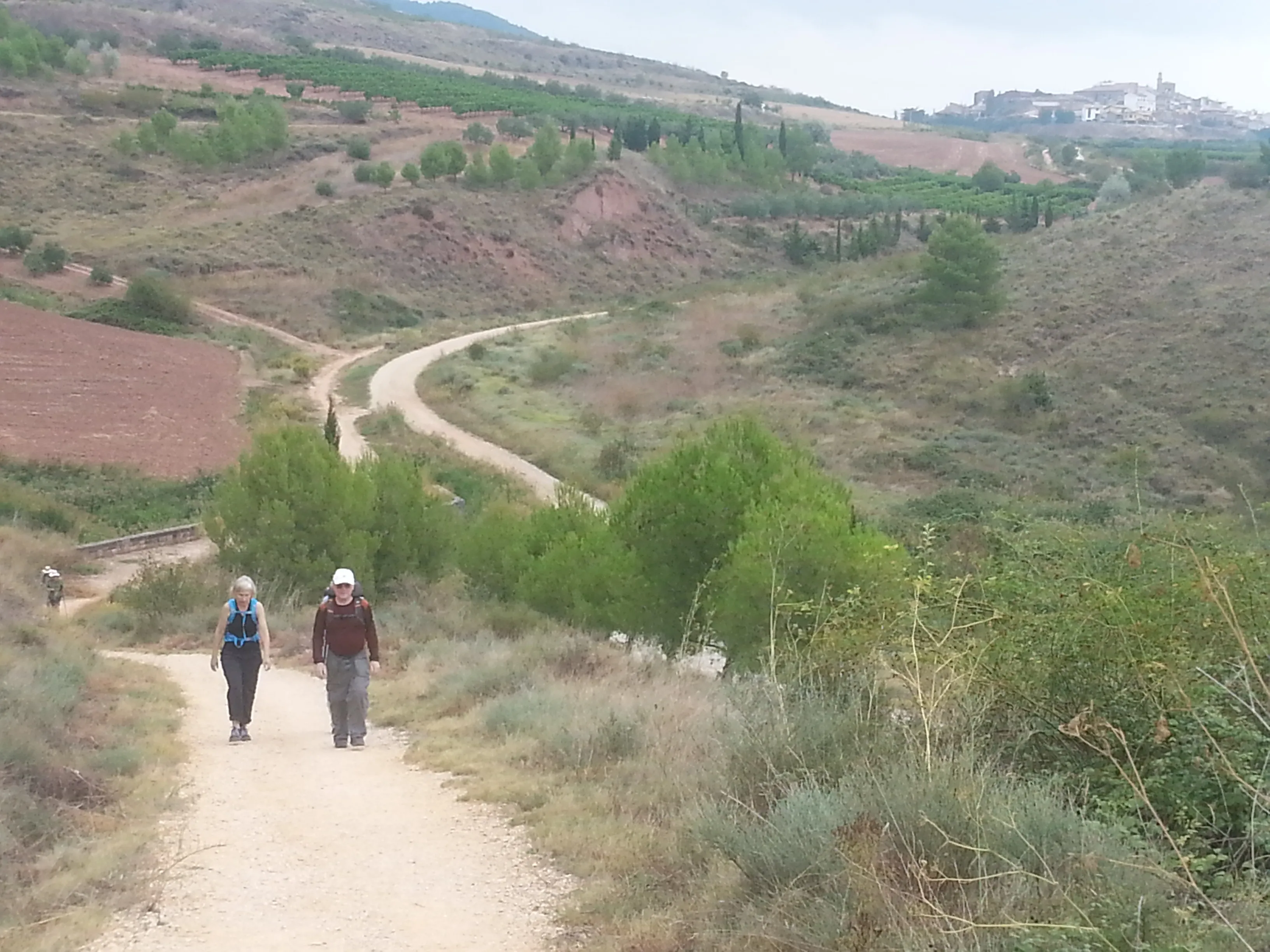 Pilgrims walking together on the Camino de Santiago.