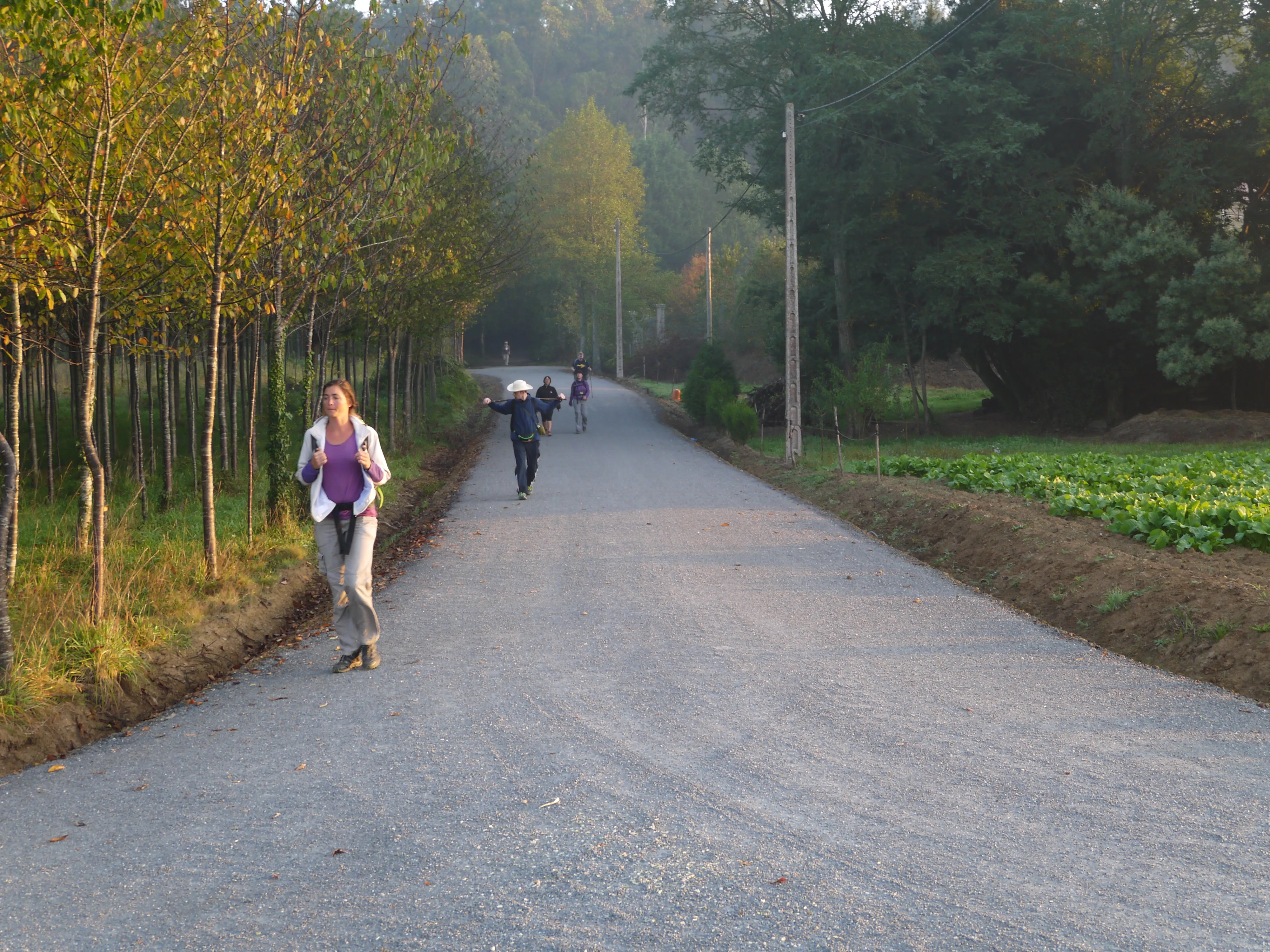 Two pilgrims walking within sight of one another on a wooded Camino path.